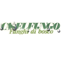 Caselfungo