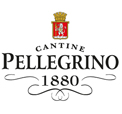 Pellegrino